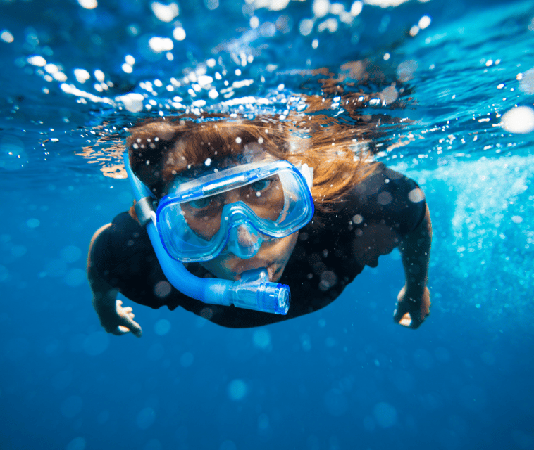 Mallorca: Visit Palma Speedboat adrenaline & snorkelling - Who will enjoy this boat trip most?