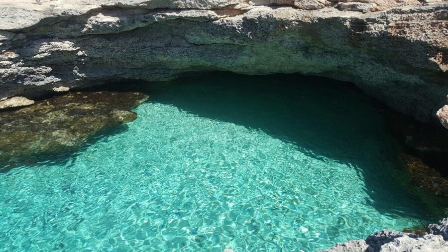 Malta: Blue Lagoon Evening Swim & Snorkel Boat Cruise - Who will enjoy this cruise most
