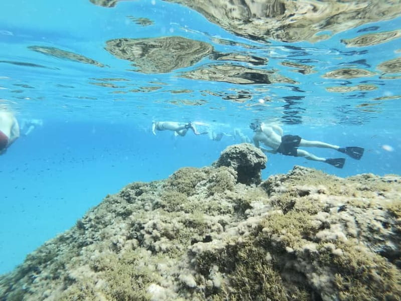 Malta: Snorkeling Tour - Key points to know before booking