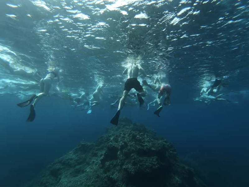 Malta: Snorkeling Tour - What the 150-minute Malta snorkeling tour is really like