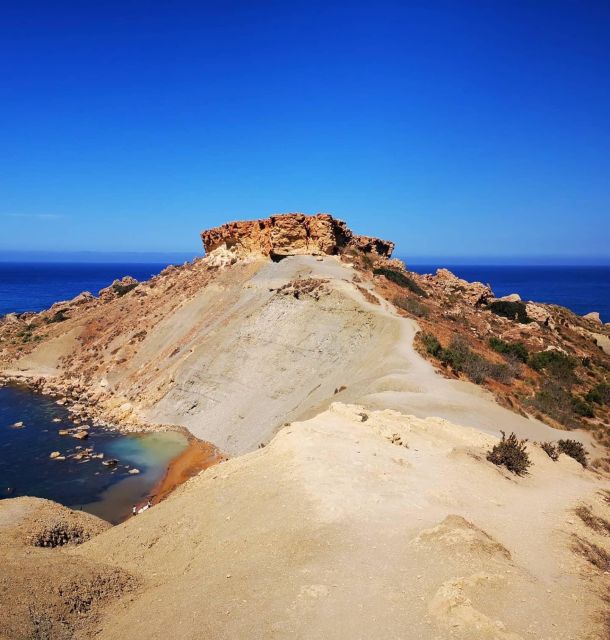 Malta: Snorkeling Tour - What you may see below the surface