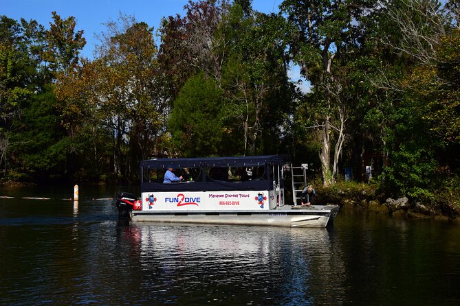 Manatee Snorkel Small Group Tour - Key points before you book