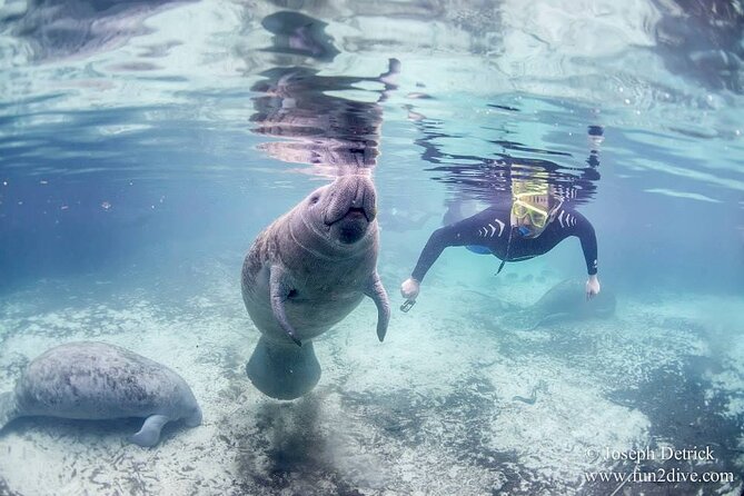 Manatee Snorkel Small Group Tour - A boat ride through the refuge