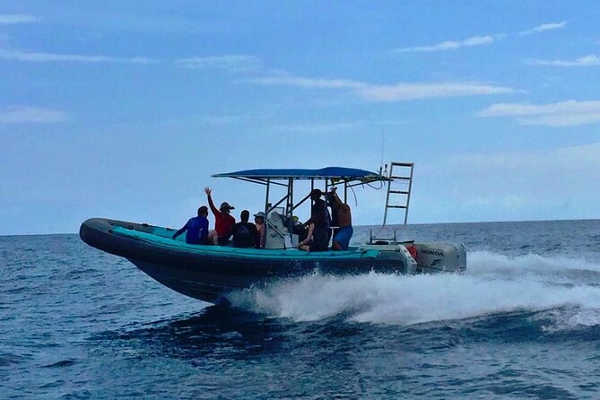 Manta Ray Night Snorkel at Kona, Big Island - The crew makes the difference