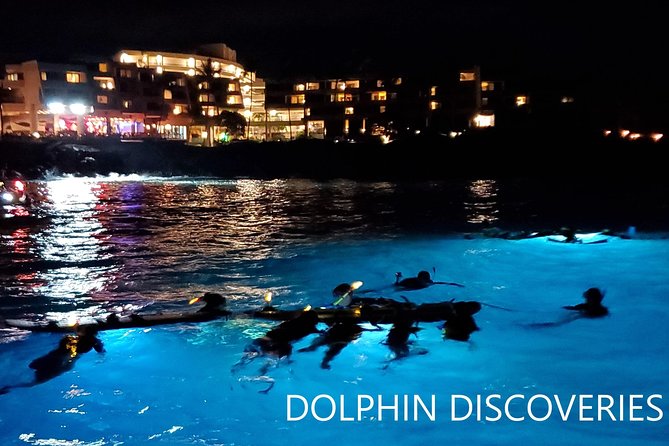 Manta Ray Night Snorkel at Kona, Big Island - Is $44 a good value?