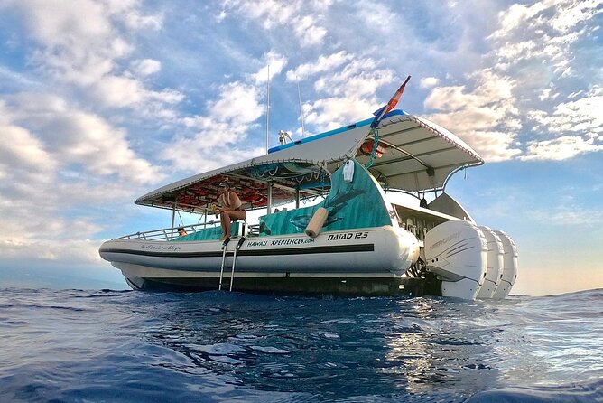 Manta Ray Night Snorkel from Kona — Small Group - What happens at Manta Heaven