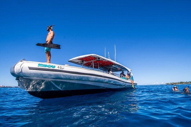 Manta Ray Night Snorkel from Kona — Small Group - Comfort, swimming ability, and important limits