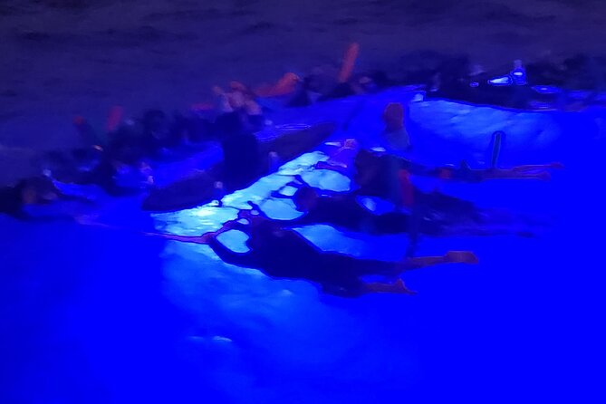 Manta Ray Night Snorkel in Kona - Price and value at $125