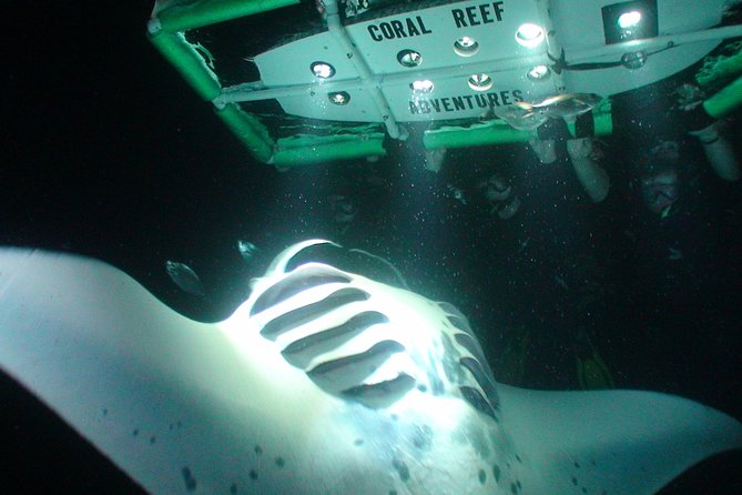Manta Ray Night Snorkel Kona - Coral Reef Snorkel Adventures - Why Kona’s night manta snorkel is so special