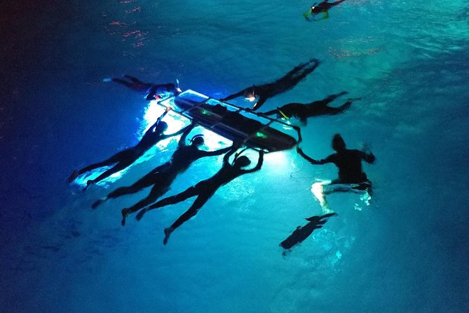 Manta Ray Night Snorkel Kona - Coral Reef Snorkel Adventures - What the manta encounter feels like