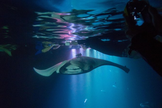 Manta Ray Night Snorkel Tour from Kona - A short boat ride to the lighted water