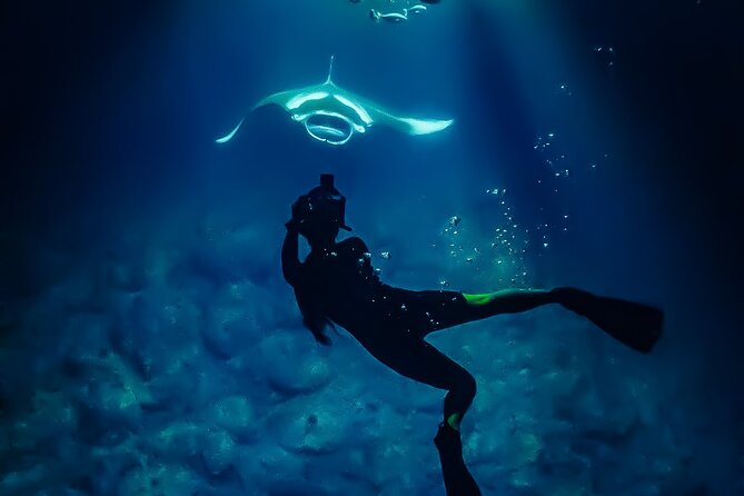 Manta Ray Night Snorkel Tour in Kailua-Kona, Big Island - Who should choose this Kona manta tour