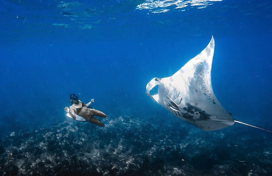 Manta Ray Snorkel in Kailua-Kona with Hot Cocoa - Leaving Honokohau Harbor aboard KIBOU