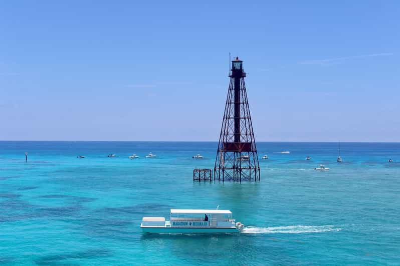 Marathon: Snorkeling Adventure by Boat at Sombrero Reef - Marine life you might see on the way