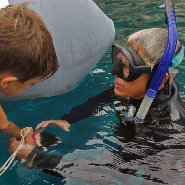 Maremma: Sea's Treasures - Tour and snorkelling on a dinghy - Who should book this experience?