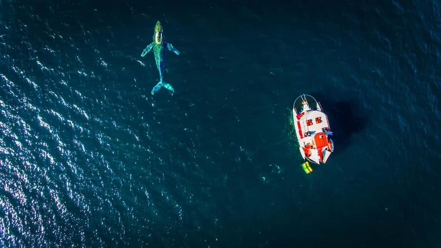 Marietas Islands Boat Tour: Snorkel, Kayak, Playa Nopalera - Cruising north along Banderas Bay