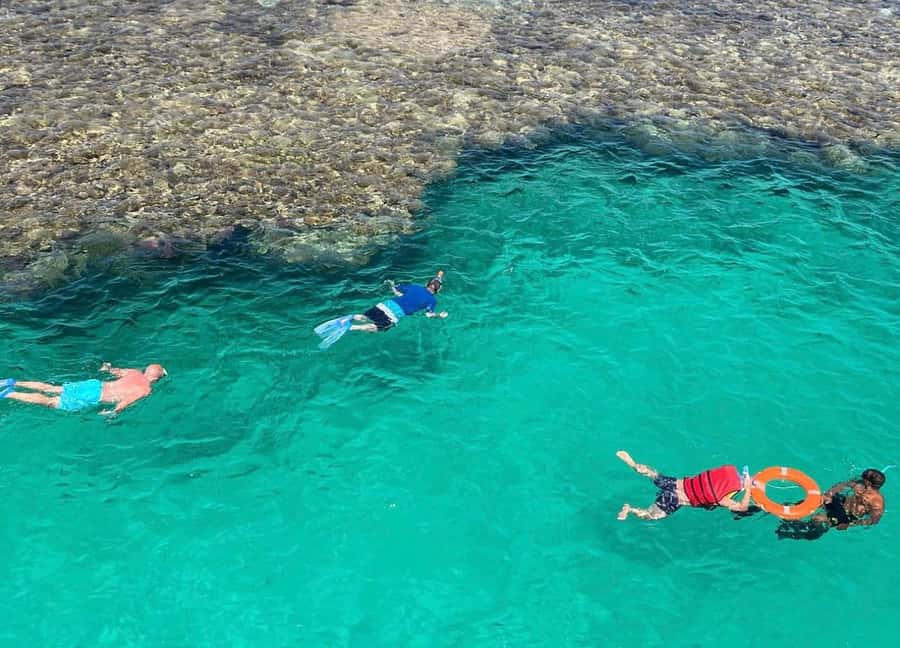 Marsa Alam: Elite vip Turtle bay snorkeling with BBQ Lunch - Lunch on board, with a proper buffet