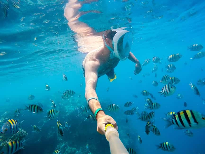 Marsa Alam:Sataya Reefs Dolphin Snorkeling Cruise with Lunch - Two guided snorkeling sessions at Sataya