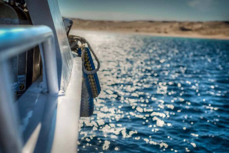Marsa Alam:Sataya Reefs Dolphin Snorkeling Cruise with Lunch - What the $90 price really buys you