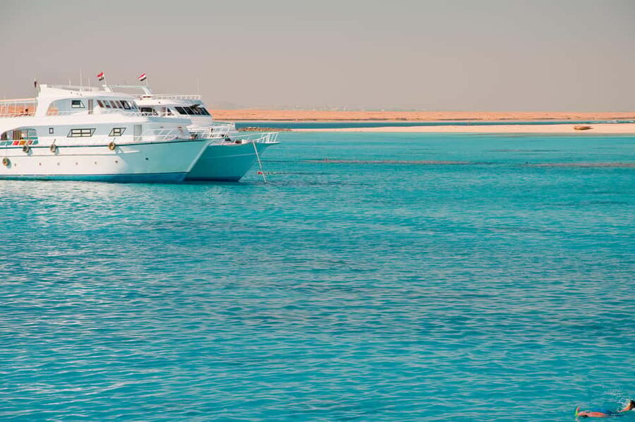 Marsa Alam:Sataya Reefs Dolphin Snorkeling Cruise with Lunch - Who will enjoy this trip most