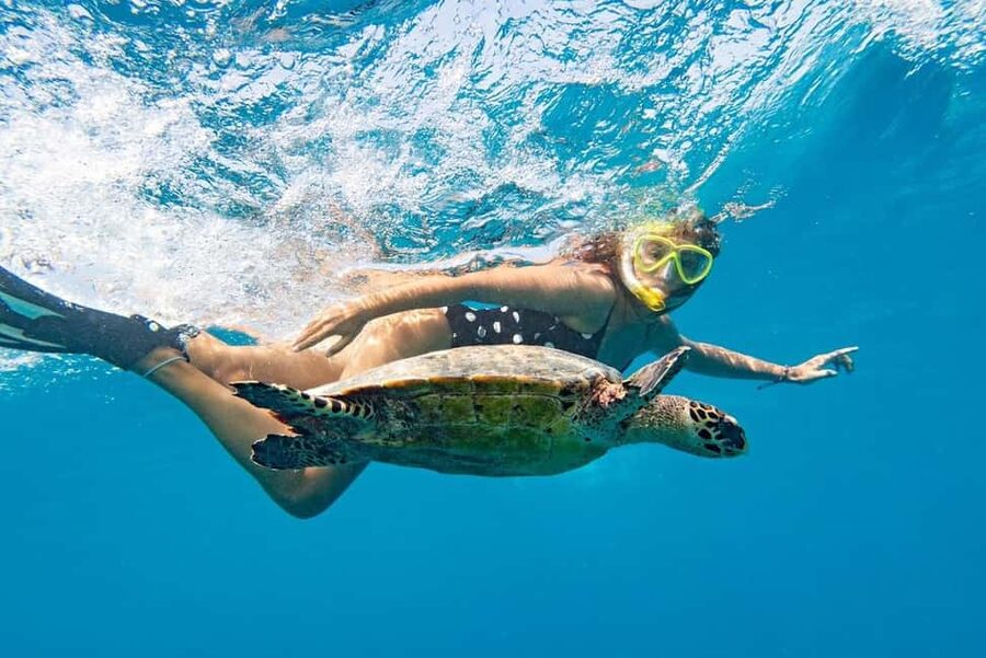 Marsa Alam: Snorkeling with Sea Turtles Marsa Mubarak - Why Marsa Mubarak is worth your time