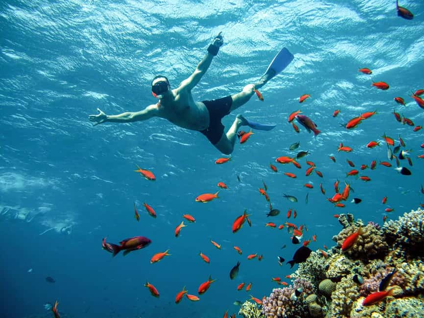 Marsa Alam: Snorkeling with Sea Turtles Marsa Mubarak - How the guides handle different abilities