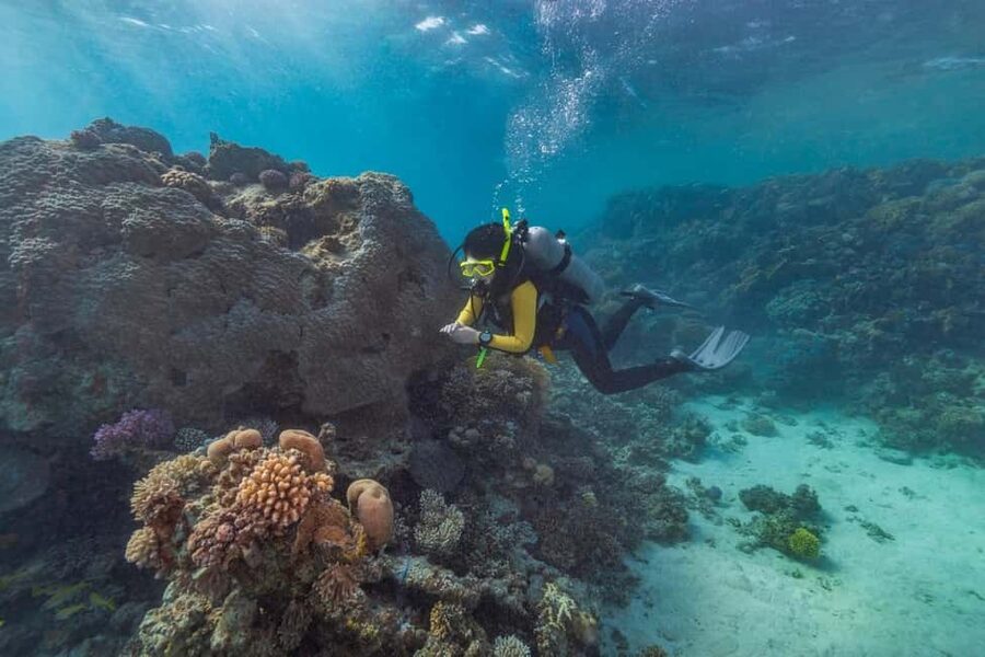 Marsa Alam: Snorkeling with Sea Turtles Marsa Mubarak - Is $68 good value?