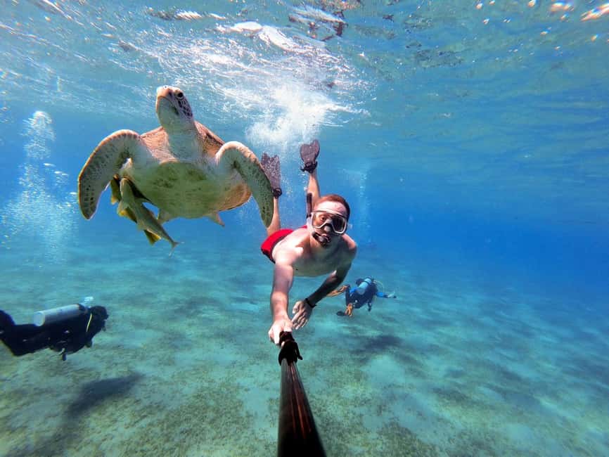 Marsa Alam: Snorkeling with Sea Turtles Marsa Mubarak - Getting from Marsa Alam to the boat