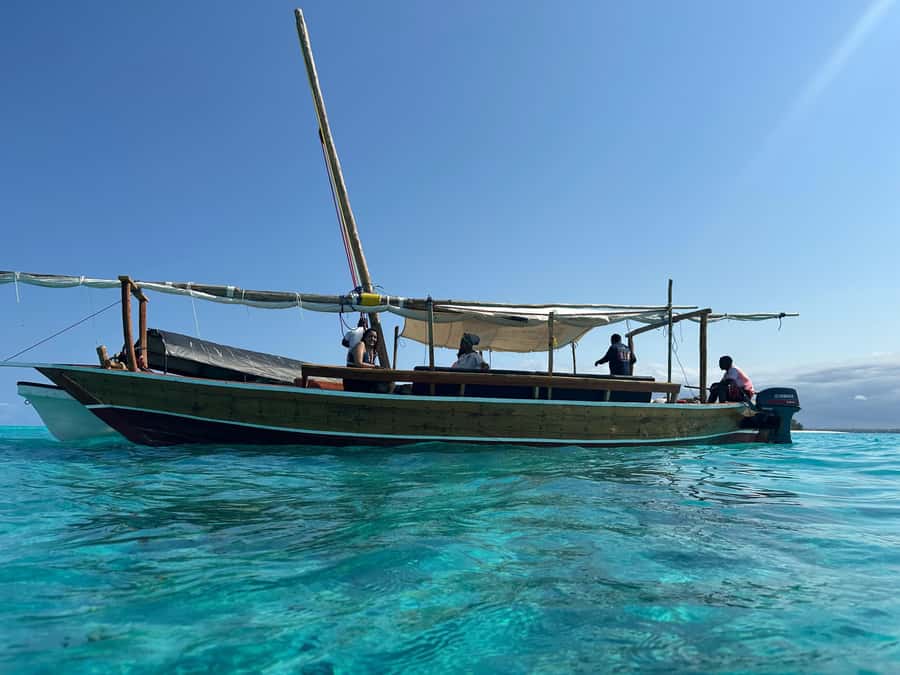 Matemwe: Mnemba Island Dolphin & Snorkeling Boat Trip - Key points at a glance