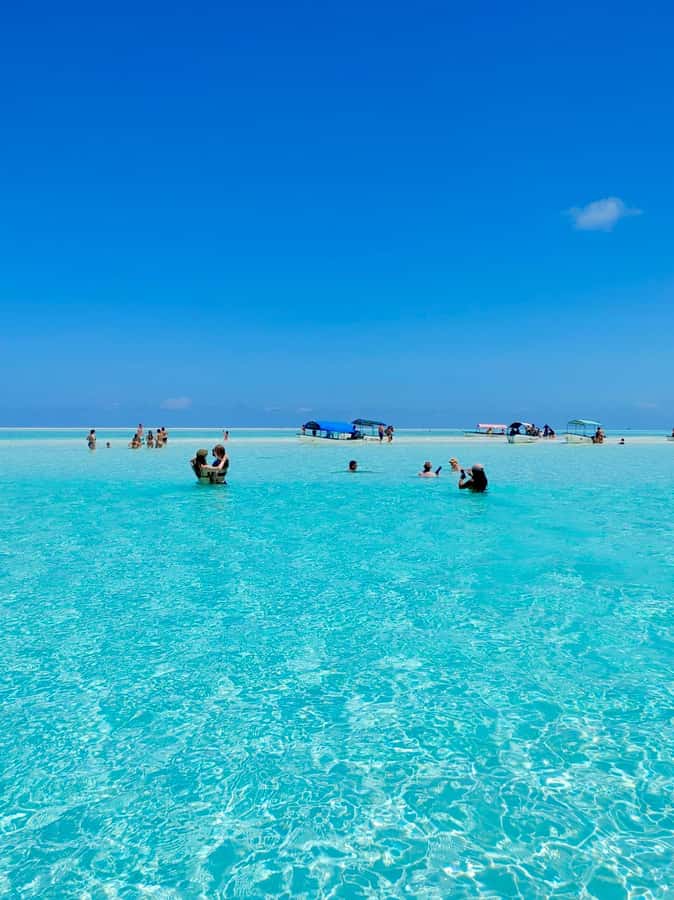 Matemwe: Mnemba Island Dolphin & Snorkeling Boat Trip - Why Mnemba Island makes a strong half-day outing