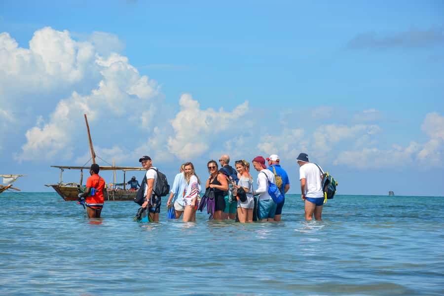 Matemwe: Mnemba Island Dolphin & Snorkeling Boat Trip - What the guides add to the day