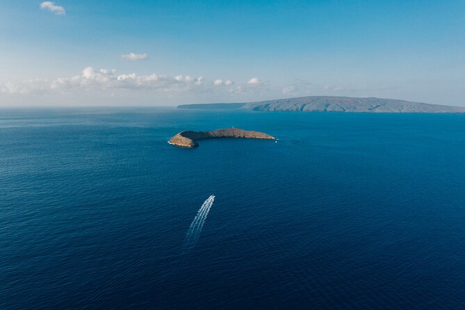Maui: 2-Hour Molokini Snorkel Trip - Why Molokini Crater is worth the boat ride