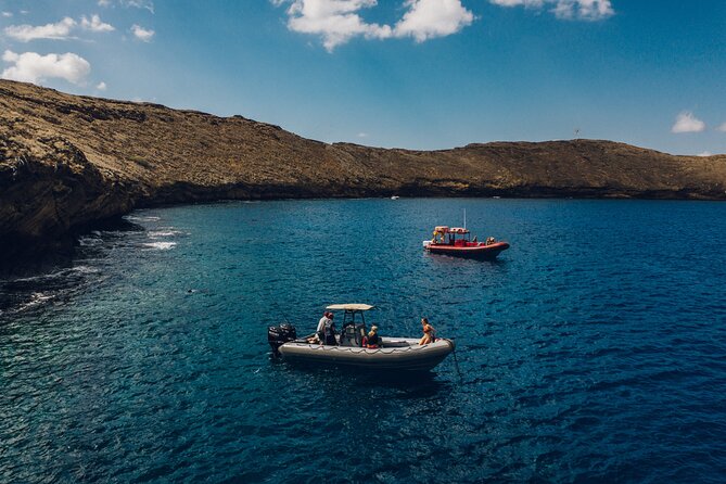 Maui: 2-Hour Molokini Snorkel Trip - What the $143.93 price really buys