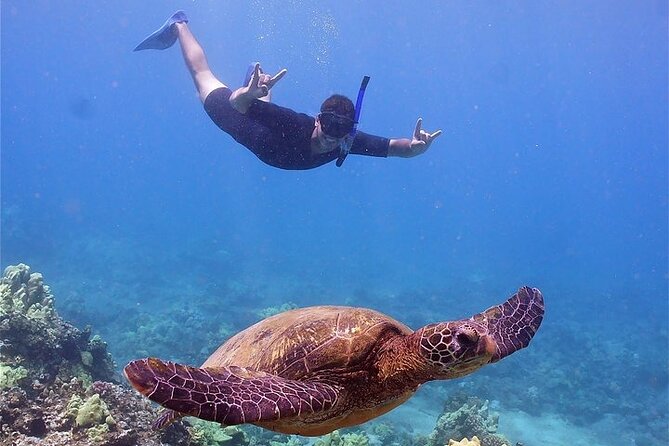 Maui Afternoon Snorkel Aboard Malolo to Molokini or Coral Gardens - Snorkeling Skills, Safety, and Crew Support