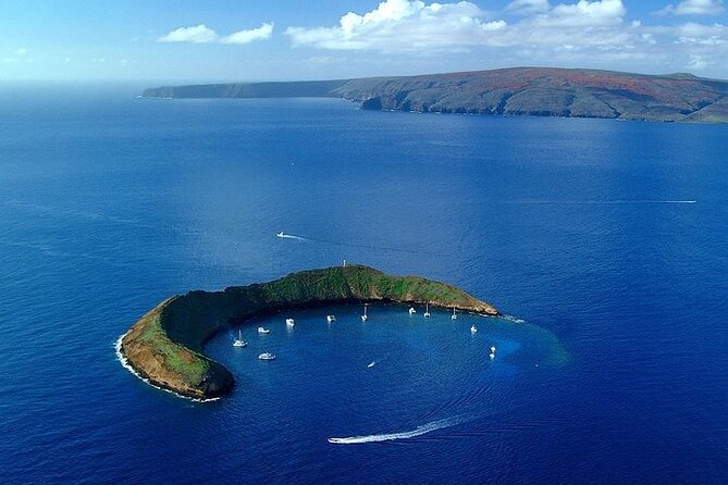 Maui Afternoon Snorkel Aboard Malolo to Molokini or Coral Gardens - The Malolo Catamaran and Access to the Water