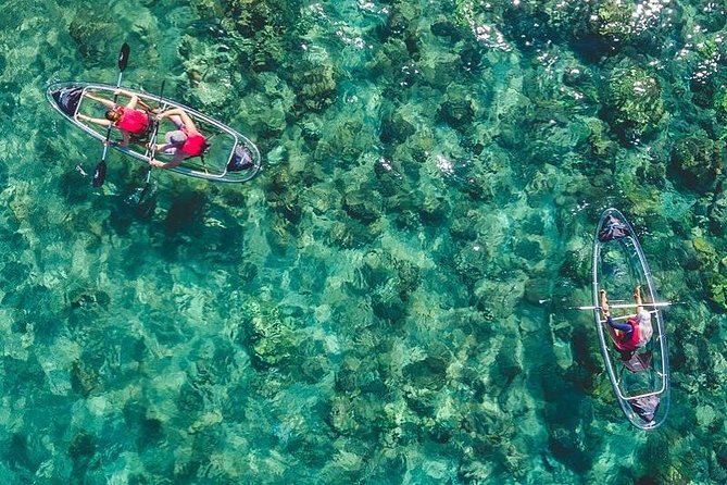 Maui Clear Kayak and Snorkel Tour: Swim with turtles (Makena) - Key things to know before you book