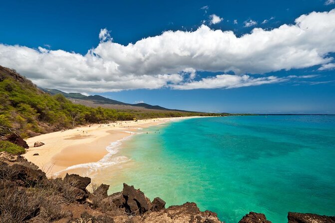 Maui Clear Kayak and Snorkel Tour: Swim with turtles (Makena) - What the clear-bottom kayak adds