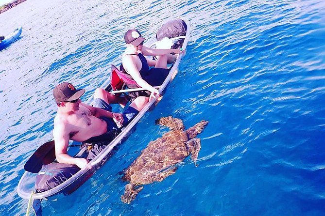 Maui Clear Kayak and Snorkel Tour: Swim with turtles (Makena) - Views above the reef