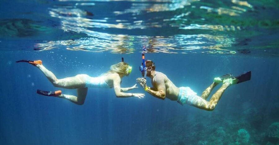 Maui: Kaanapali Beach 4-hour Snorkel w/ BBQ Lunch & Open Bar - BBQ Lunch and a Proper Open Bar