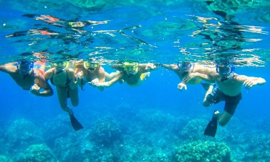 Maui: Kaanapali Beach 4-hour Snorkel w/ BBQ Lunch & Open Bar - Should You Book It?