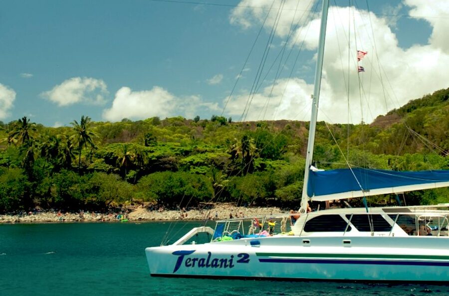 Maui: Kaanapali Beach 4-hour Snorkel w/ BBQ Lunch & Open Bar - Snorkeling Near Turtles and Tropical Fish
