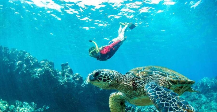 Maui: Kaanapali Beach 5-hr Snorkel w/ BBQ Lunch & Open Bar - Two snorkel stops chosen for the day’s conditions