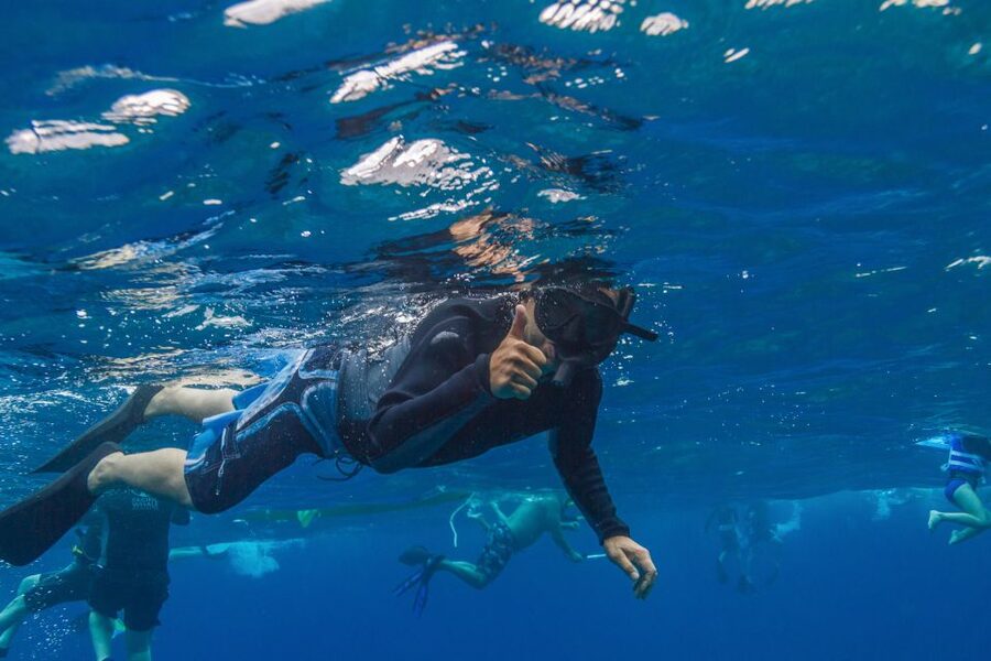 Maui: Lanai Snorkel & Dolphin Watch with Lunch - Should you book the Lanai catamaran trip?