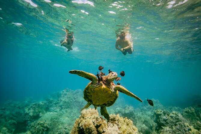 Maui: Molokini Crater and Turtle Town Snorkeling From Kihei - Smart ways to prepare