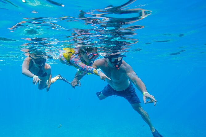 Maui: Molokini Crater and Turtle Town Snorkeling From Kihei - The final call: book it for focused snorkeling