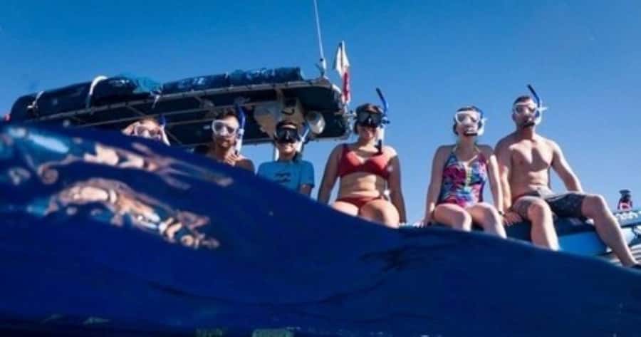 Maui: Molokini Crater and Turtle Town Snorkeling Tour - 3 hr - Molokini Crater: striking views, uncertain fish life