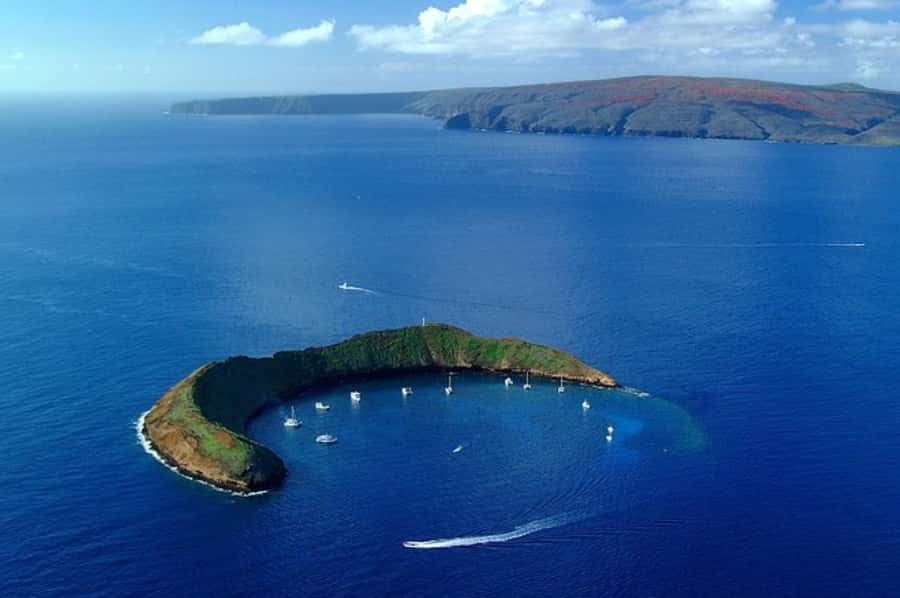 Maui: Molokini Express Snorkeling Tour - 2 hours - A two-hour schedule built around water time