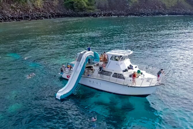 Maui: Molokini & Turtle Town Snorkel & Waterslide Adventure - Turtle Town: a different kind of wildlife encounter