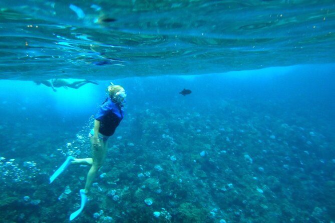 Maui: Molokini & Turtle Town Snorkel & Waterslide Adventure - The crew makes the biggest difference