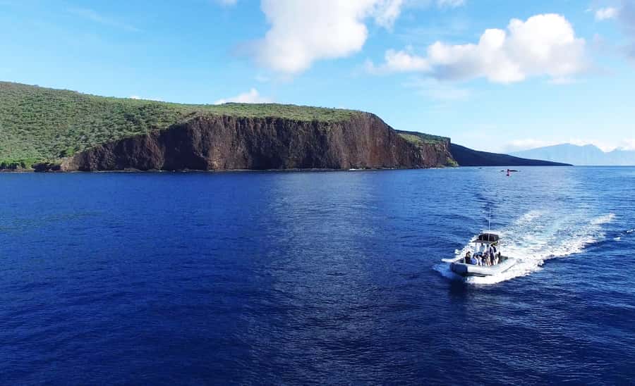 Maui: Semi-Private Eco-Raft Lanai Snorkel & Dolphin Tour - Two or three snorkel stops, chosen for the day
